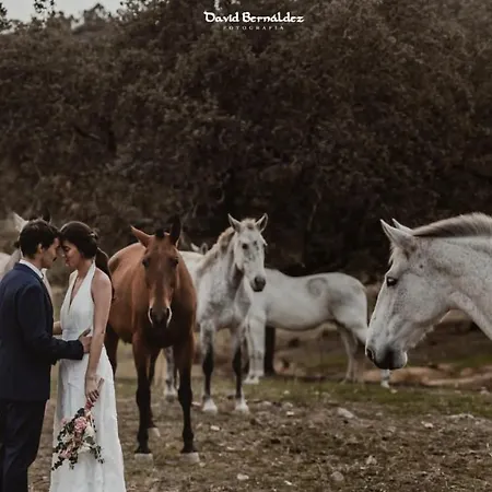 Ferienhaus Hacienda Cantalapiedra El Ronquillo